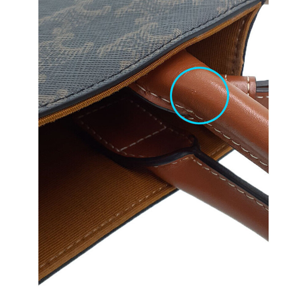 Celine Triomphe Canvas Vertical Cabas Bag - Picture 6 of 9